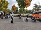 1Sammeln (2)